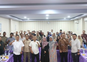 IAP FISIP UMSU Workshop